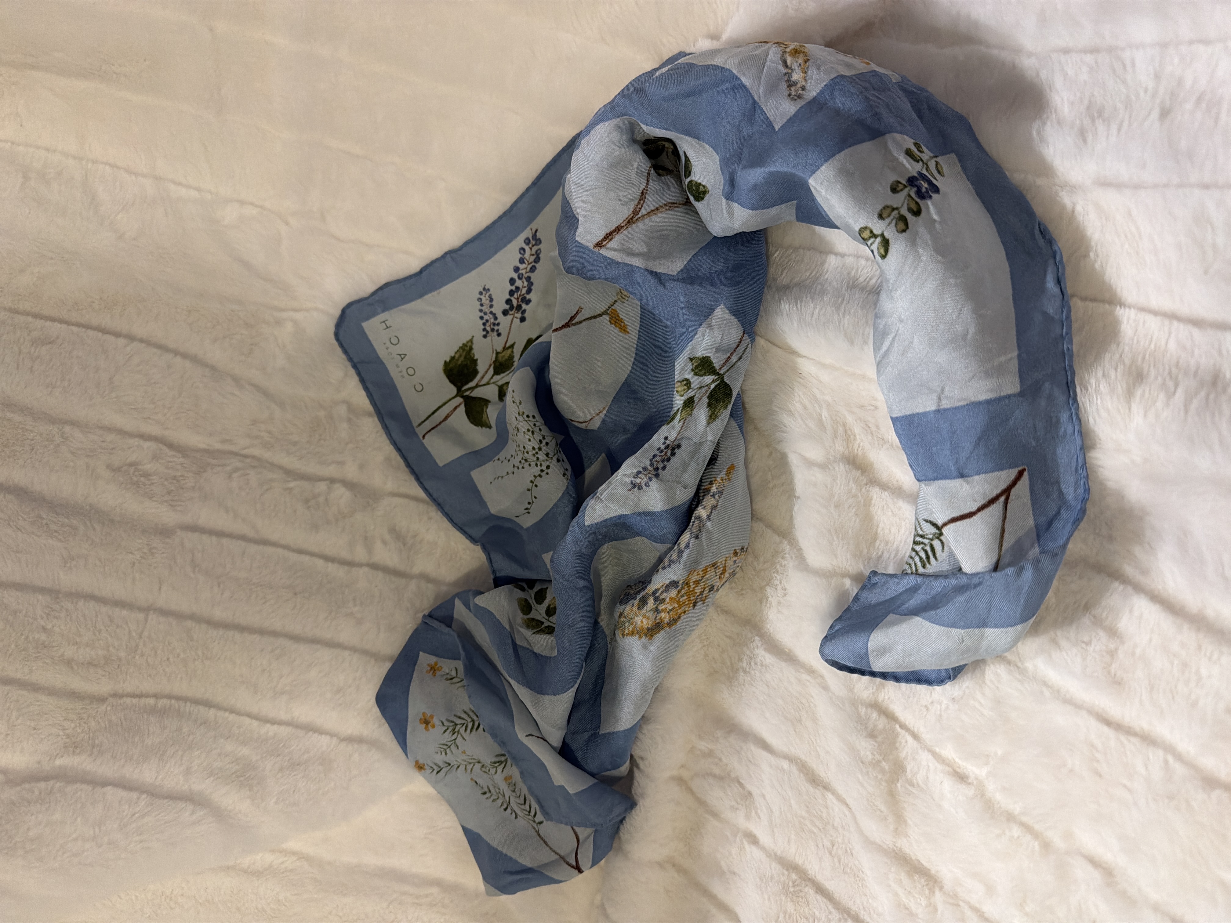Coach scarf